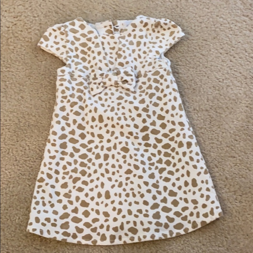 Girls Velvet Dress